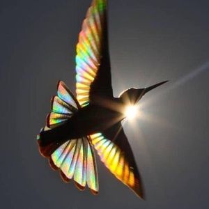 Meet your Posher, Tim